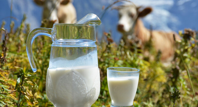 Детальное фото статьи Что включает в себя понятие "жирность молока"