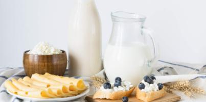 Фото анонса статьи Молоко и молокопродукты: основные требования к этой продукции