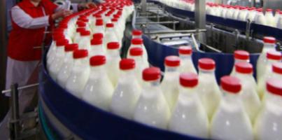 Фото анонса статьи Отборное молоко: особенности, производство