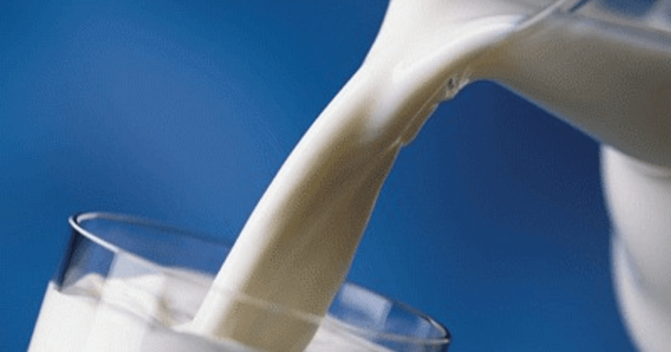 Детальное фото статьи Какие виды питьевого молока существуют сегодня?