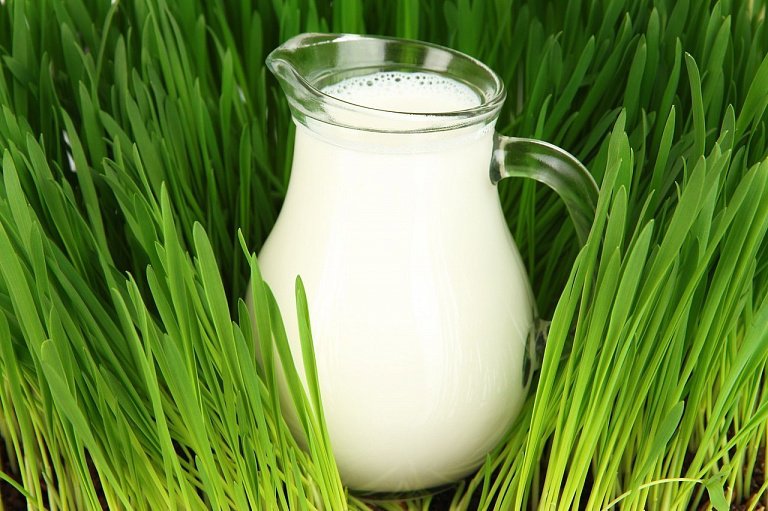 Детальное фото статьи Классификация молока